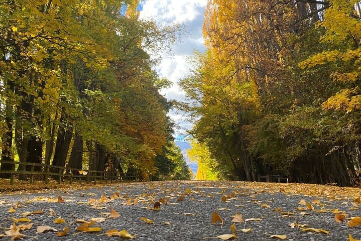 Queenstown to Wanaka Private Day Tour — Crown Range, Arrowtown & Wanaka Highlights photo 6