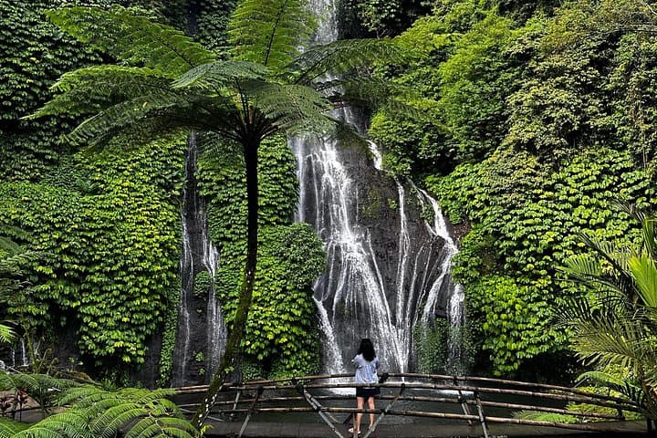 North Bali Day Tour — Ulun Danu Temple, Handara Gate, Banyumala & Jatiluwih Rice Terraces photo 1