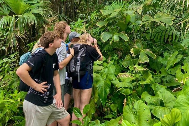 Gandoca Organic Farm & Chocolate Tour with Gandoca Lagoon Boat Experience photo 2