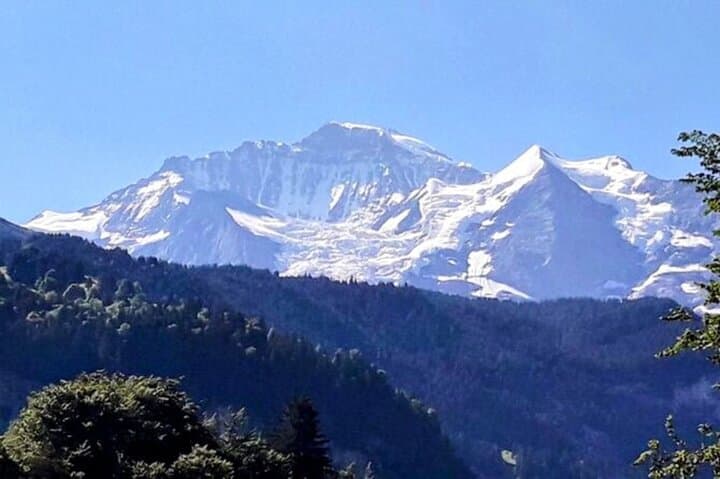 Private Interlaken Waterfall Tour: Lauterbrunnen, Staubbach & Iseltwald in 3 Hours photo 4