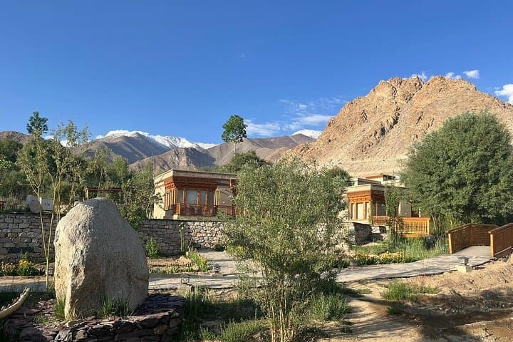 Wonders of Ladakh: Private 7-Day Leh, Nubra & Pangong Adventure