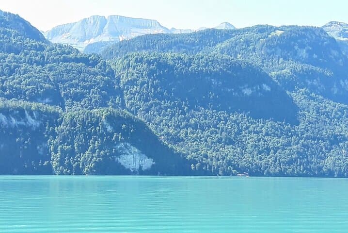 Private Lake Brienz & Aare Gorge Tour — Brünig Pass, Iseltwald Pier & Mr No Name Waterfall photo 4