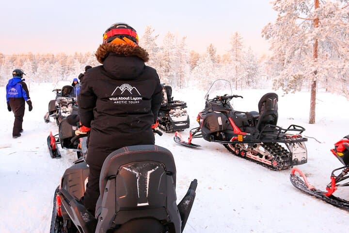 Rovaniemi Snowmobile Safari: 1-Hour Arctic Ride Through Lapland Wilderness photo 3