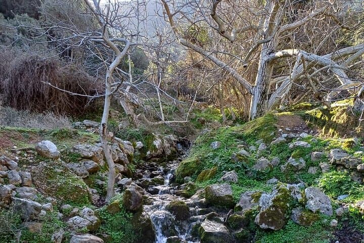 Mount Juktas Hike: Crete’s Ancient Observatory & Zeus-Face Summit photo 2