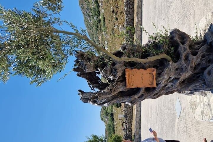 Mount Juktas Hike: Crete’s Ancient Observatory & Zeus-Face Summit photo 5