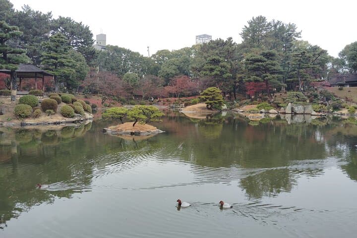 Guided Walk Through Shukkei-en: 90 Minutes in Hiroshima’s Feudal Garden photo 3