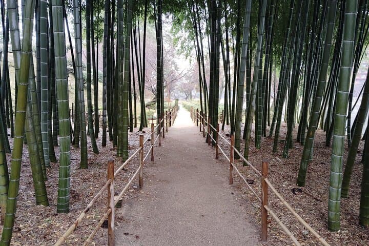 Guided Walk Through Shukkei-en: 90 Minutes in Hiroshima’s Feudal Garden photo 4
