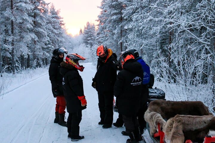 Rovaniemi Northern Lights Sledge Ride — Snowmobile-Pulled Arctic Evening Tour photo 5
