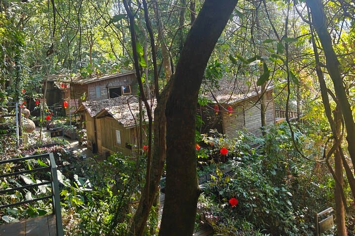 Overnight Treehouse Hot Springs & Tianmen Ditch National Park from Guangzhou photo 3