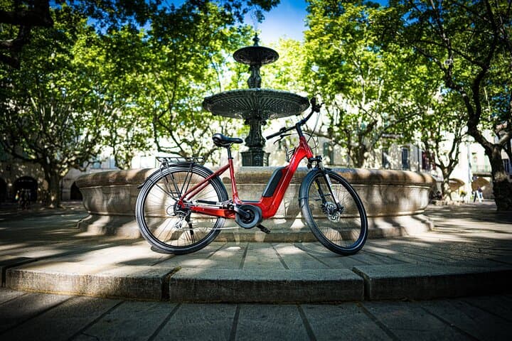 Full-Day E-Bike Rental Around Mont Ventoux from Vaison-la-Romaine photo 6