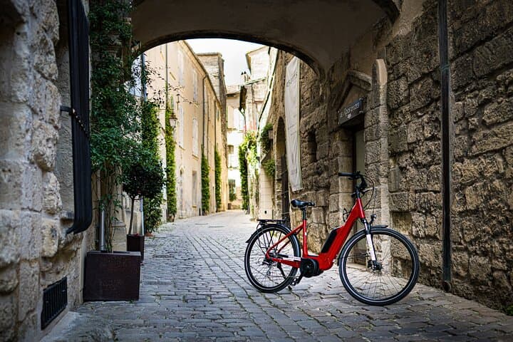 Full-Day E-Bike Rental Around Mont Ventoux from Vaison-la-Romaine photo 4