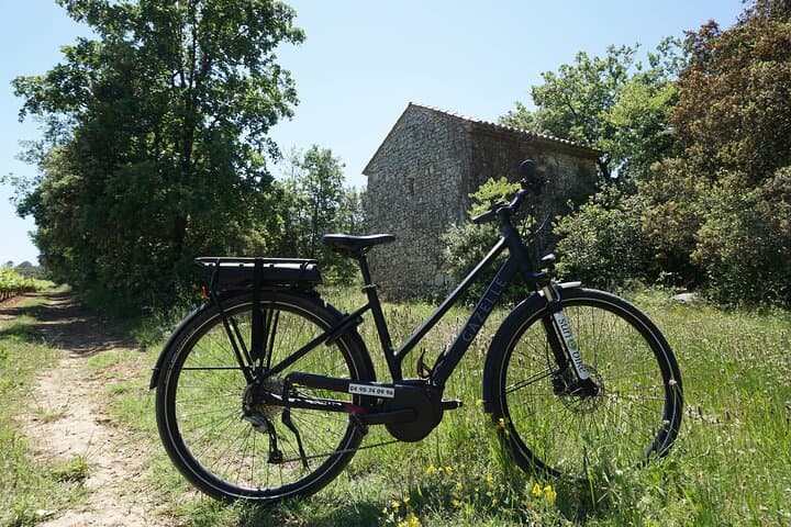 E-bike Picnic Through the Olive Groves of the Alpilles (Saint-Remy-de-Provence) photo 2