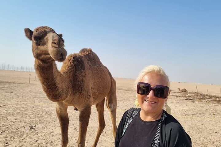 Half-Day Kuwait City & Desert Tour — Mosques, Souqs, Camels & Coastal Dunes photo 3