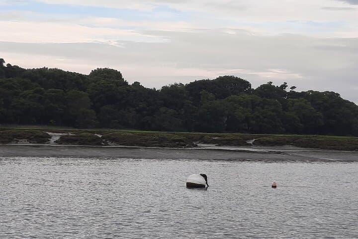 Sunset River Cruise on the Beaulieu River — New Forest Evening Boat Trip photo 4
