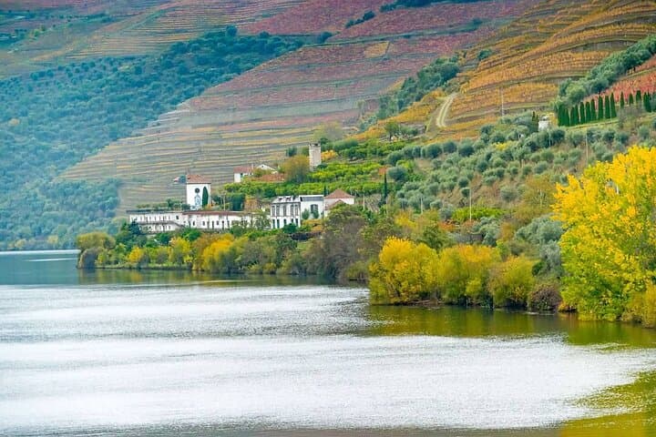 Pinhão Private Boat, Lunch & Wine Tour — 6-Hour Douro Valley Quinta Experience