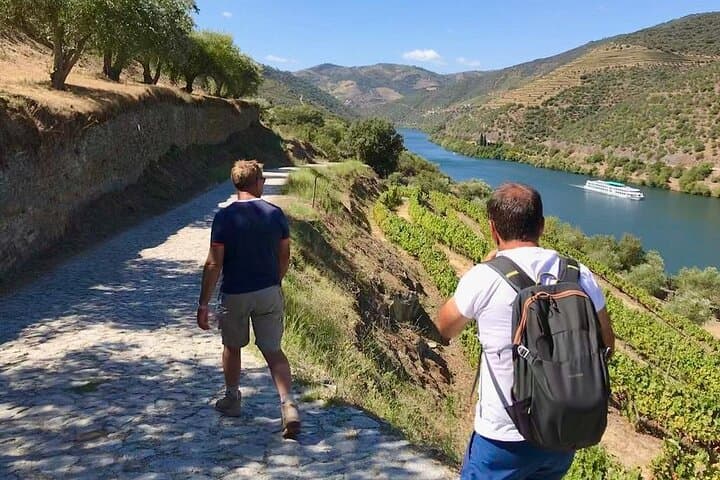 Pinhão Hiking Tour: Douro Valley Scenic Hike with Wine Picnic