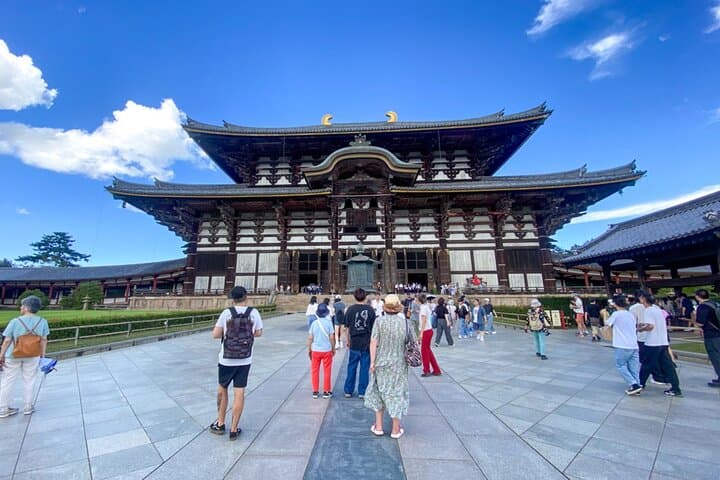 Kyoto to Nara, Osaka & Kobe Full-Day Tour — Deer, Temples & Dotonbori photo 4