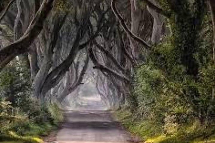 Giants Causeway Day Tour from Belfast: Game of Thrones Sites & Coastal Walks photo 4
