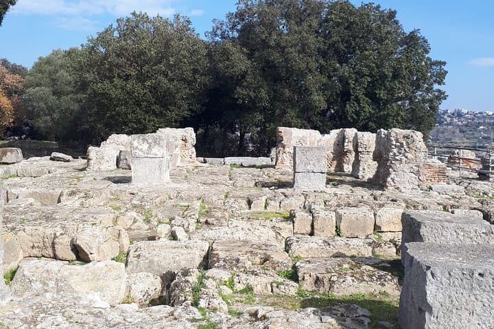 Exploring the Phlegraean Fields: Naples' 'Burning Fields' Volcanic Park Day Tour photo 3