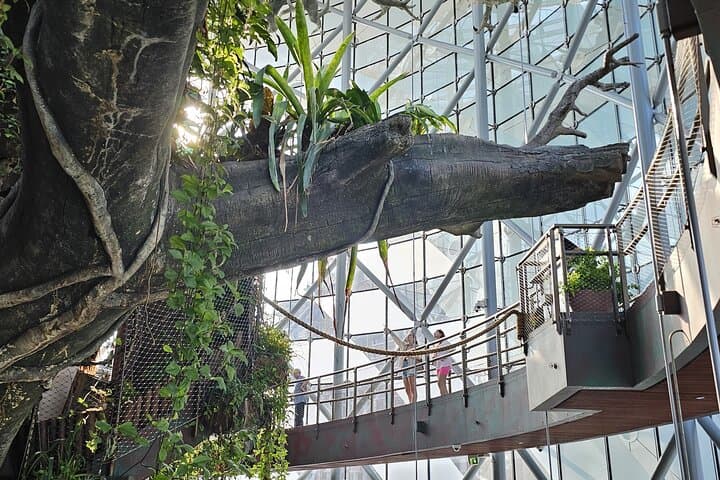 Explore Dubai's Green Planet: Indoor Rainforest Adventure at City Walk photo 6