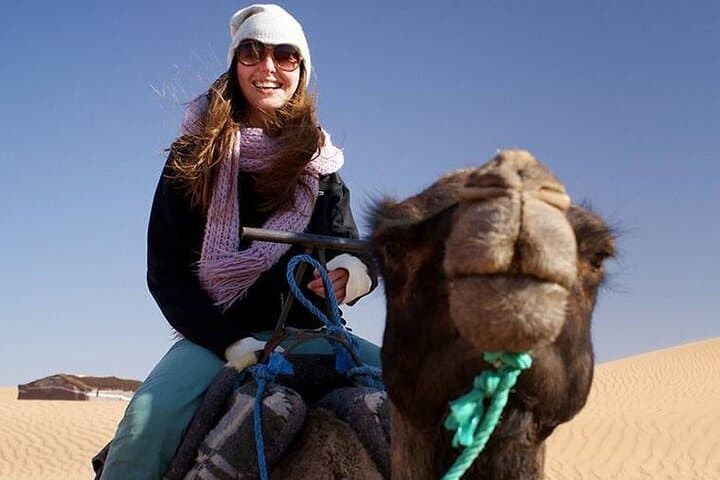 Ras Al Khaimah Evening Desert Safari & BBQ: Dune Bashing, Bedouin Culture, and Sunset photo 4