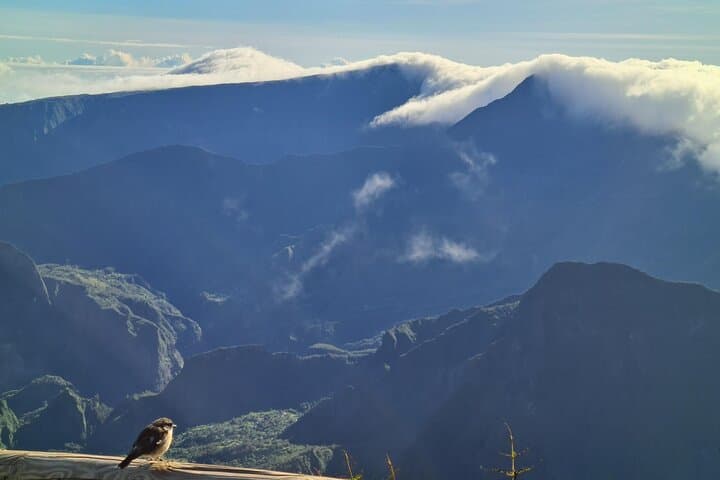 Private Day Tour of Western Réunion: Maïdo, Saint-Paul & Boucan Canot