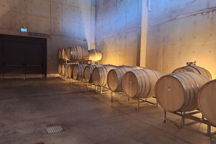 3-Day Mendoza Wine Tour: Uco Valley, Luján de Cuyo & High-Altitude Malbecs