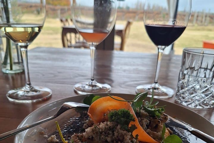3-Day Mendoza Wine Tour: Uco Valley, Luján de Cuyo & High-Altitude Malbecs photo 2
