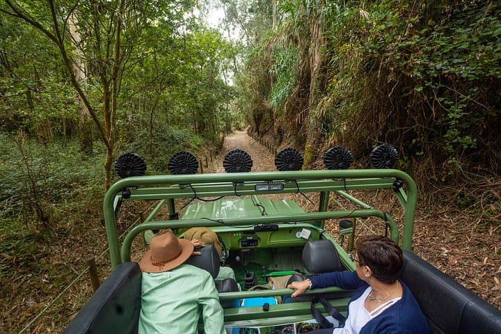 North Coast Birdwatching Jeep Tour — Mindelo Ornithological Reserve & Vila do Conde from Porto photo 4