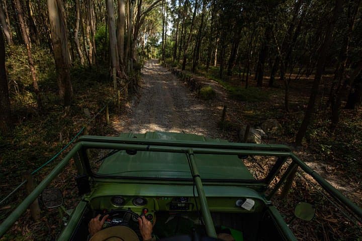 North Coast Birdwatching Jeep Tour — Mindelo Ornithological Reserve & Vila do Conde from Porto photo 2