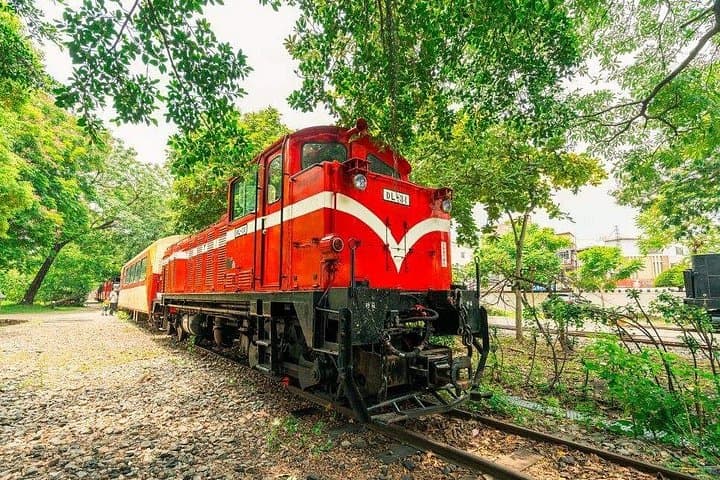 Chiayi Day Tour: National Palace Museum & Huiyi Forest Village Experience