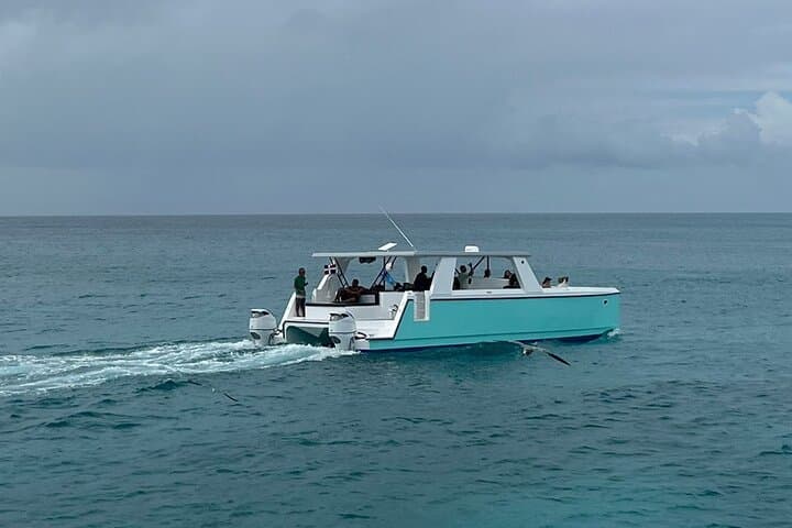 Private Aruba Catamaran Snorkel Cruise to Boca Catalina & SS Antilla photo 6