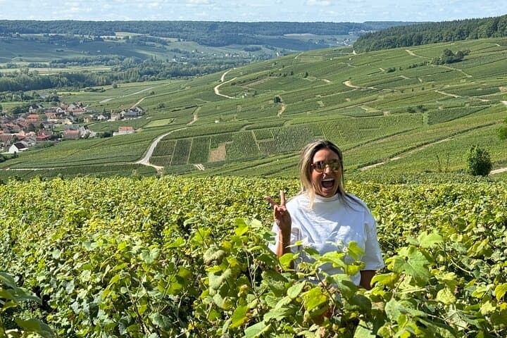 Gold Champagne Experience — Private Full-Day Tour from Epernay photo 5
