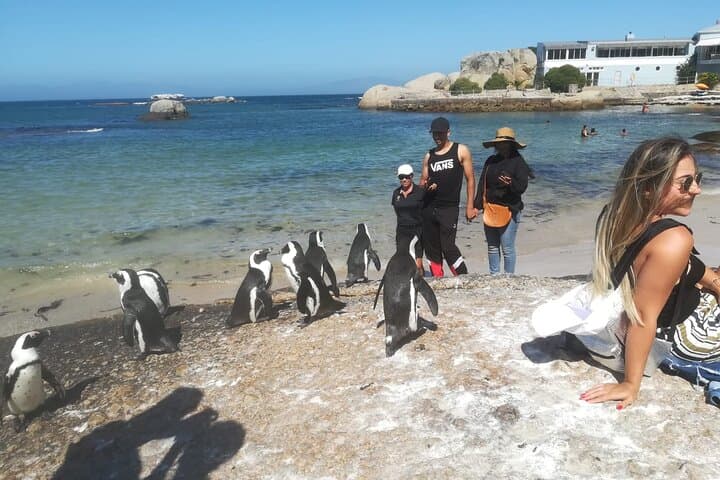 Full-Day Private Cape Town Tour: Table Mountain, Chapman's Peak & Cape Point with Penguins photo 4