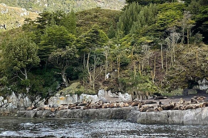 Full-Day Whale Watching & Glaciers Cruise from Punta Arenas photo 5
