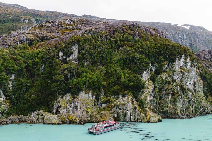 Full-Day Whale Watching & Glaciers Cruise from Punta Arenas photo 4