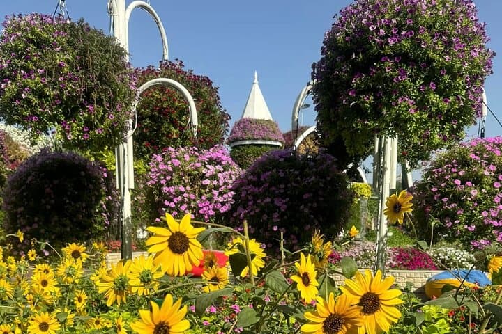 Dubai Miracle Garden Audio Guide Tour — Explore the Airbus A380 Floral Installation photo 6