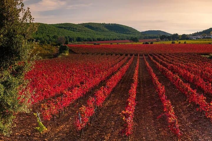 Penedès 4x4 Off‑Road Adventure and Wine Tasting Day Trip from Barcelona photo 4