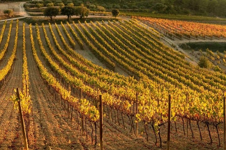 Penedès 4x4 Off‑Road Adventure and Wine Tasting Day Trip from Barcelona photo 6