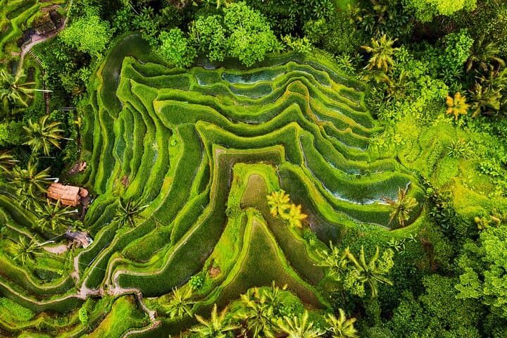 Bali 2-Day Ubud + Nusa Penida: Rice Terraces, Temples & Cliff Beaches photo 5