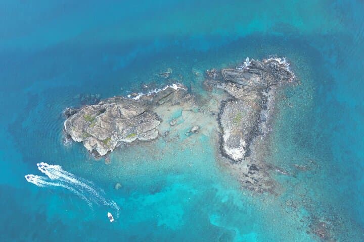 Snorkel Tintamarre: Half‑Day Boat Tour from Grand Case, St. Martin photo 3