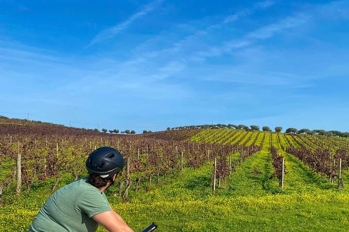 Self-Guided 7-Day Alentejo Bike Tour: Evora to Monsaraz with Hotels & Luggage Transfer