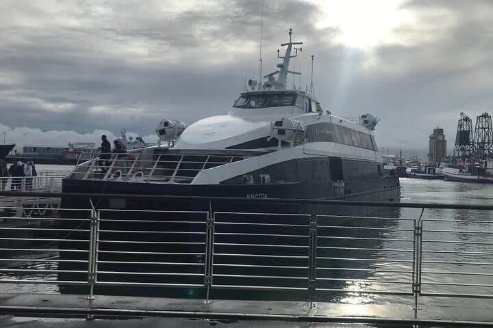 Table Mountain, Robben Island and V&A Waterfront Private Tour — Cape Town in One Day photo 6