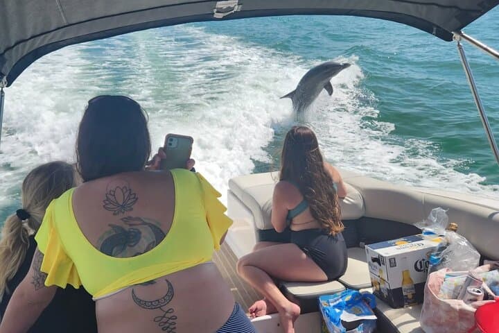 Private Boat Island Cruise and Dolphin Watching in St. Petersburg photo 4