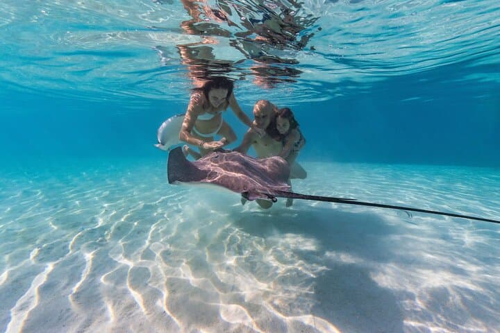 Half-Day Snorkeling Tour in Moorea — Guided Lagoon & Reef Wildlife Boat Trip