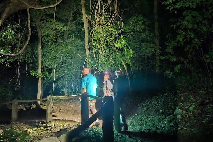 San Ignacio Night Hike: Critters of the Night & Maya Chultun Tour photo 1