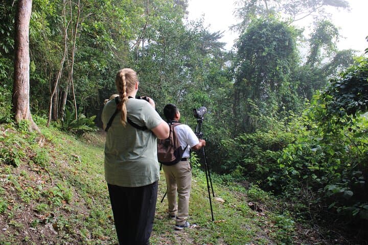 San Ignacio Resort Hotel Birdwatching: 90-Minute Jungle Backyard Tour