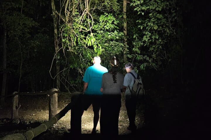 San Ignacio Night Hike: Critters of the Night & Maya Chultun Tour photo 2