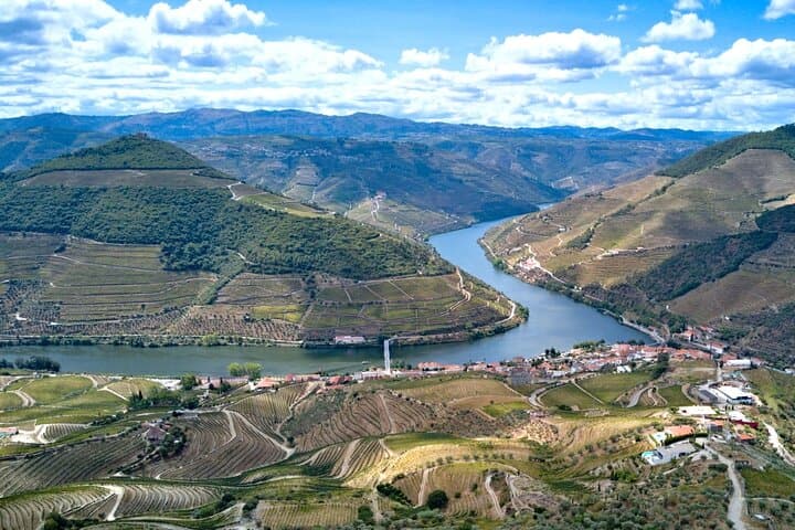 Private Douro Valley Tour: Boutique Winery, 1-Hour River Cruise & Lunch from Porto photo 1