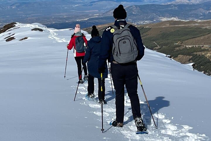 Snowshoeing Sierra Nevada from Granada: Guided Winter Hike near Pradollano photo 4